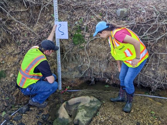 Two Gannett Fleming employees in PPE take measurements in a creek bed.